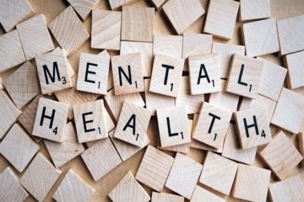 Government will set up 23 mental health centers