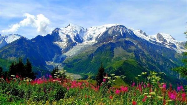 Valley of Flowers, A Paradise In The Lap Of Himalaya
