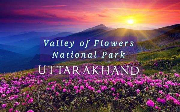 Valley of Flowers National Park : UNESCO World Heritage Site