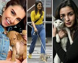 Watch Bollywood Celebrities and their Pets.