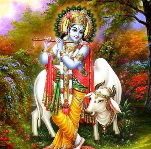 Why is Shri Krishna called Govind?