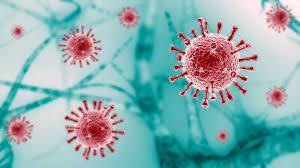 India records 109 cases of COVID-19 sub-variant JN.1. Which states recorded maximum infections?
