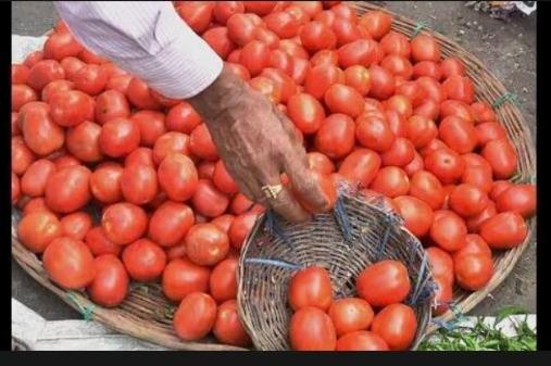 Are tomatoes now pricier than petrol? Take a look at the current price.