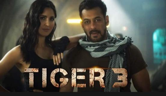  Sunny Deol celebrates Tiger 3 success with Salman Khan