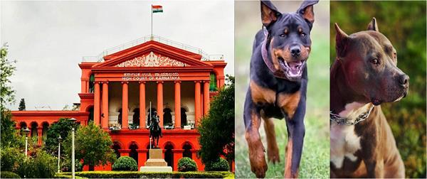 कर्नाटक उच्च न्यायालय ने 23 नस्लों के 'खतरनाक और क्रूर' कुत्तों पर प्रतिबंध लगाने वाले संघ के परिपत्र को रद्द कर दिया।