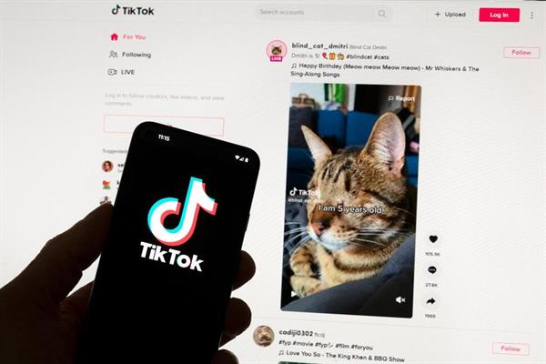 European Union Questions TikTok on New App That Pays Users for Watching
