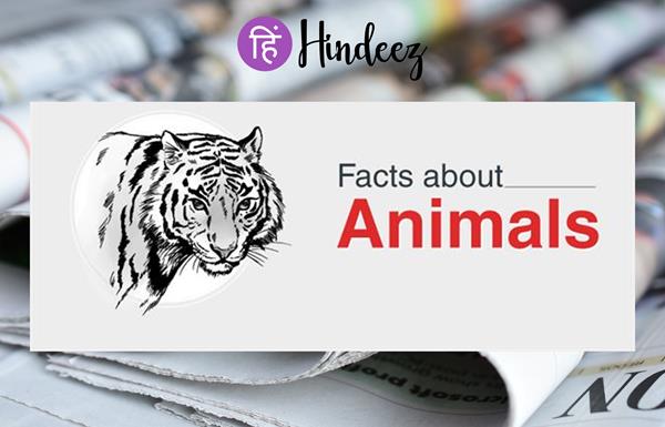 16 Unique Facts About 16 Unique Animals