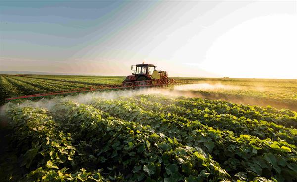 Most People Have Been Exposed to Little-Known Pesticide: Study