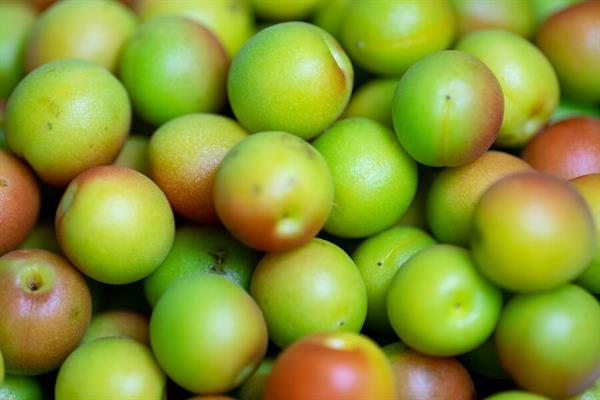 If you want to get health benefits of green plum, then try these recipes.
