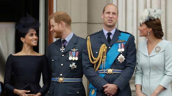 Prince Harry wanted to meet his brother during his UK trip, but Prince William's priority was…
