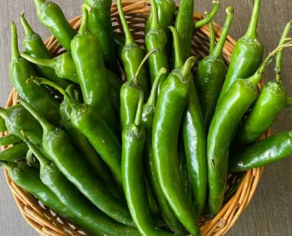 Does green chilli get spoiled even after keeping it in the freezer? Just do this work, it will remain fresh and green for a long time.