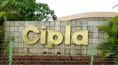 Cipla promoters sell 2.53% stake worth Rs 2,600 cr to fund philanthropy.